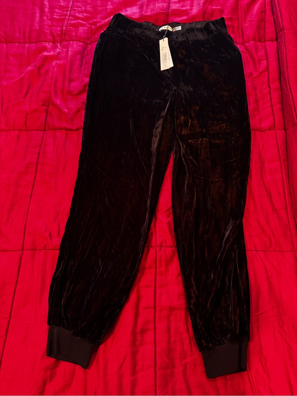NWT—Alice + Olivia Black Velvet Joggers with Branded Tags